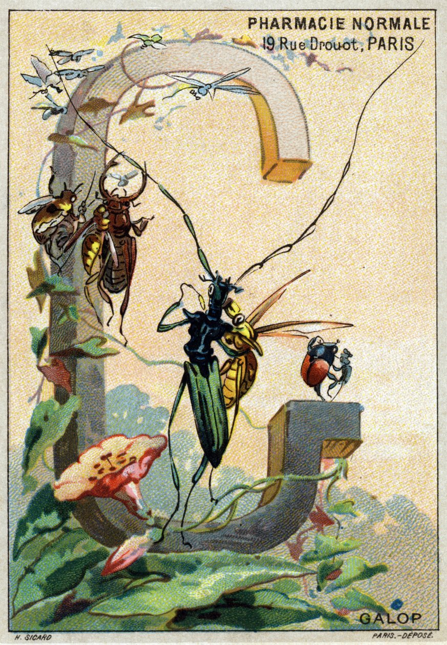 Buchstabe G wie Galopp. Künstlerisches Alphabet von Herrn Marinier von Unbekannt