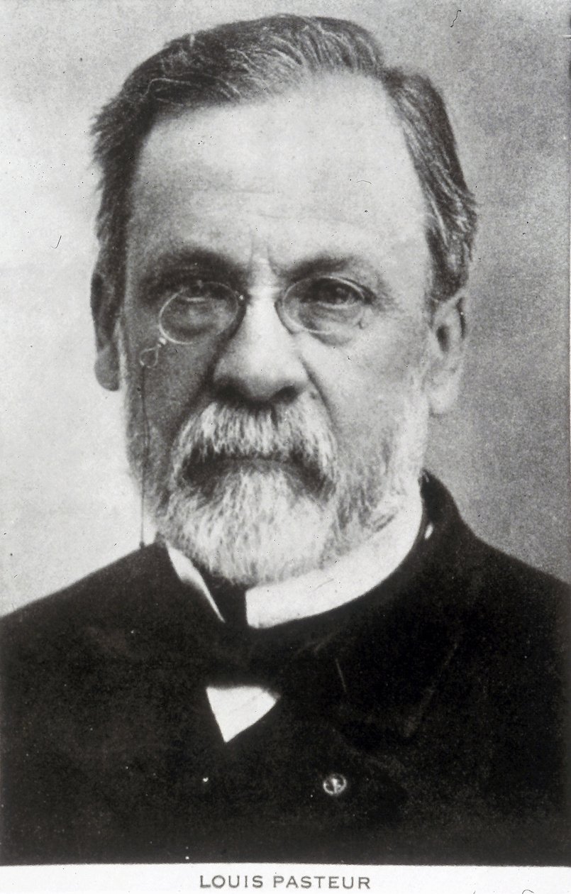 Louis Pasteur, französischer Chemiker und Mikrobiologe, ca. 1885 von Unbekannter Künstler