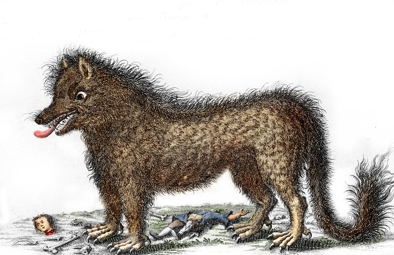 Darstellung der Bestie von Gévaudan, die Knochen ihrer Opfer um ihre Beine verstreut, Gravur um 1764 von Unbekannter Künstler