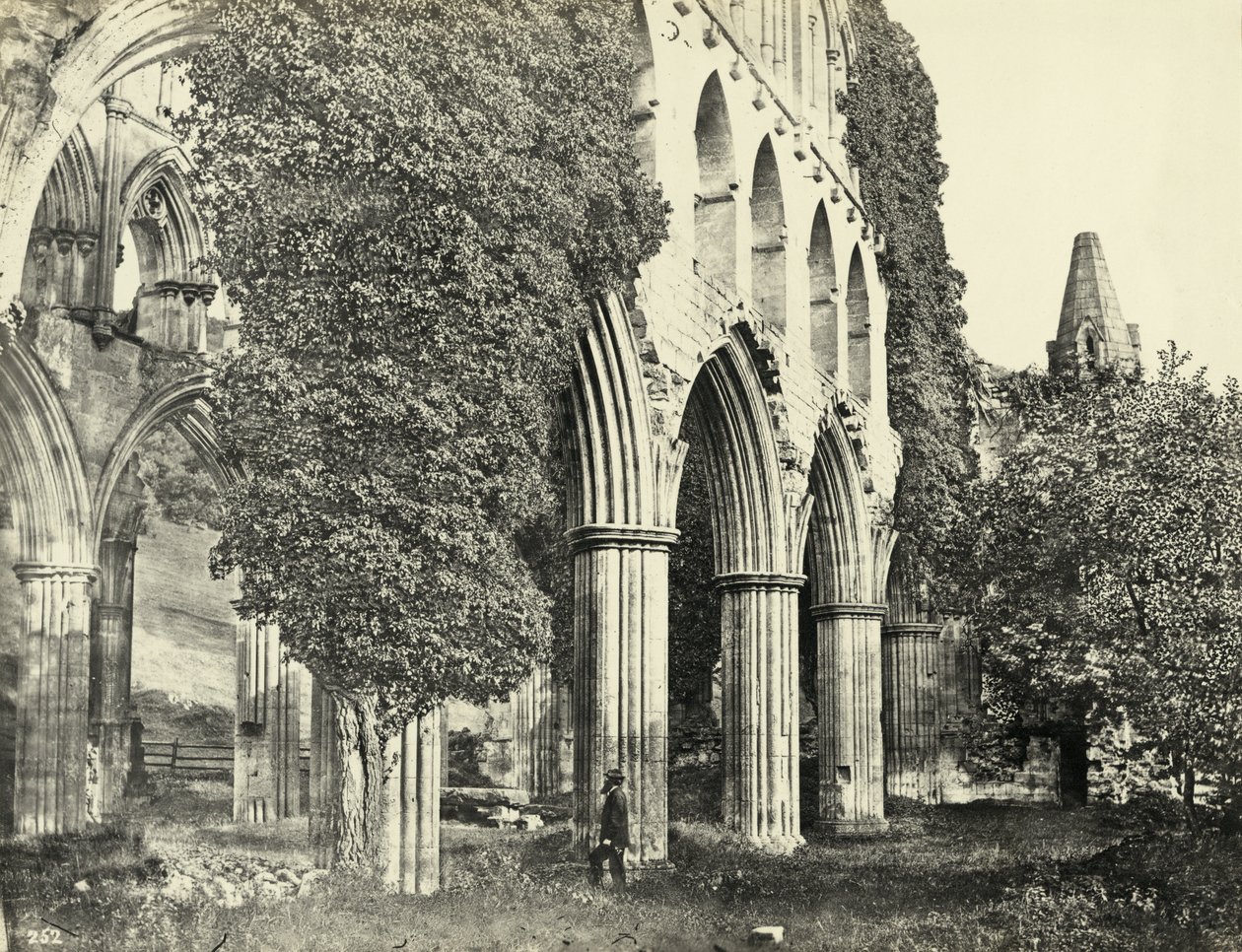 Rievaulx Abbey, North Yorkshire, UK (s/w Foto) von Unbekannter Künstler