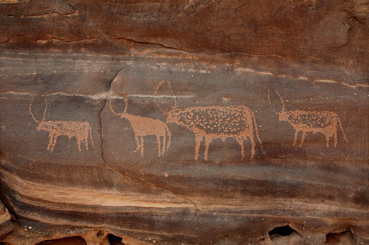 Felskunst, Vorgeschichte: Gravur von vier Rindern im Uweinat-Massiv, Sudan (Karkur-Talh oder Karkur Talh). Zeitraum von 8000 bis 3000 Jahre v. Chr. Fotografie von Unbekannt