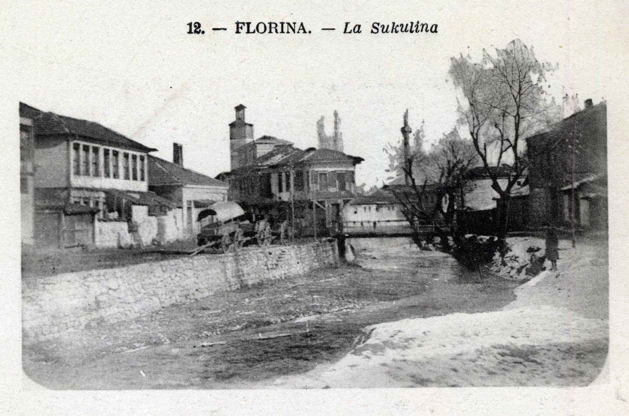 Serbien, Florina (heutiges Griechenland): Blick auf die Sukulina - Postkarte 1914-1918 von William M. Timlin