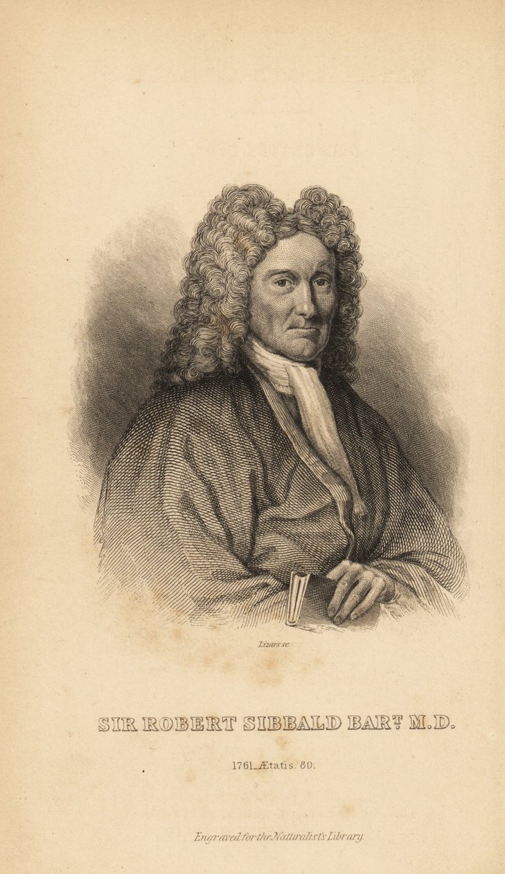 Sir Robert Sibbald, schottischer Naturforscher und Antiquar von Unbekannt