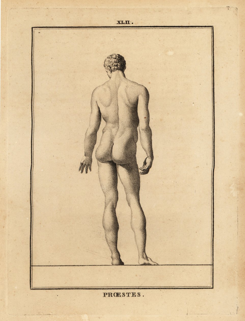 Statue von Orestes, nackt, Sohn des Agamemnon in der griechischen Mythologie von Unbekannt