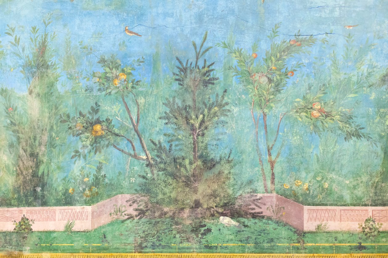 Triclinium des Hauses der Livia, Fresko, 20 - 10 v. Chr., Nationalmuseum von Rom, Rom, Italien von Unbekannter Künstler