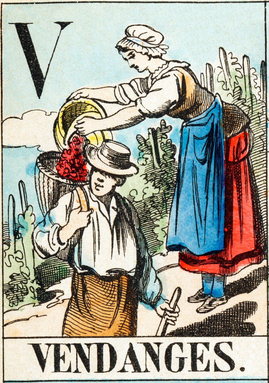 V Vendanges - „Alphabet des Bauernhofs“ Ende des 19. Jahrhunderts (Gravur) von Unbekannt