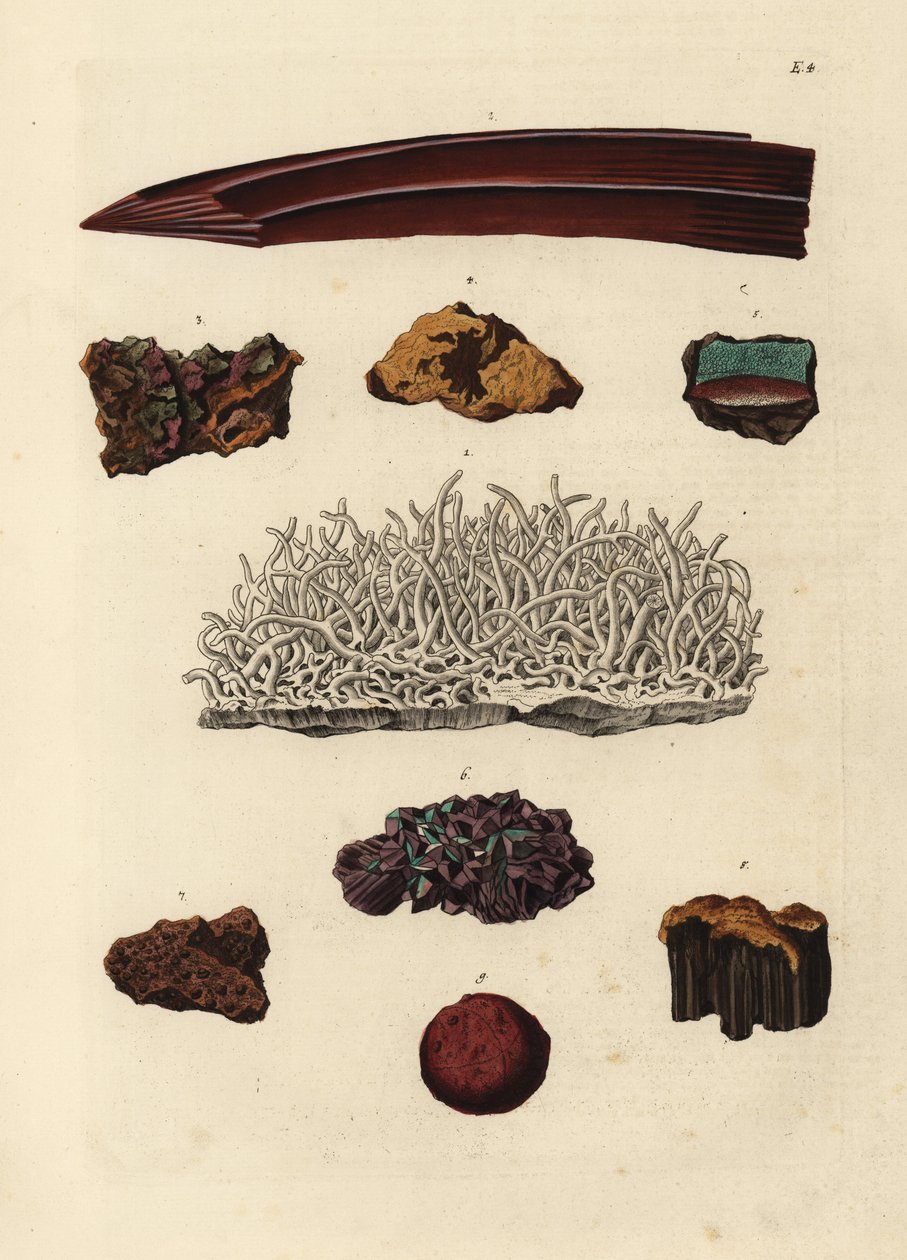 Varietäten von Eisenerz. Handkolorierter Kupferstich nach einer Illustration aus Georg Wolfgang Knorrs Deliciae Naturae Selectae oder Kabinet van Zeldzaamheden der Natuur, Blusse und Sohn, Nürnberg von Unbekannter Künstler