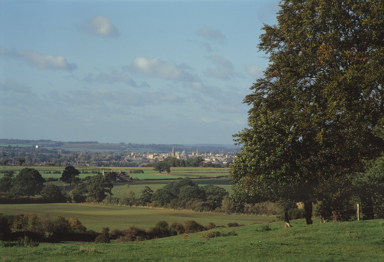 Ansicht von Oxford vom Boar
