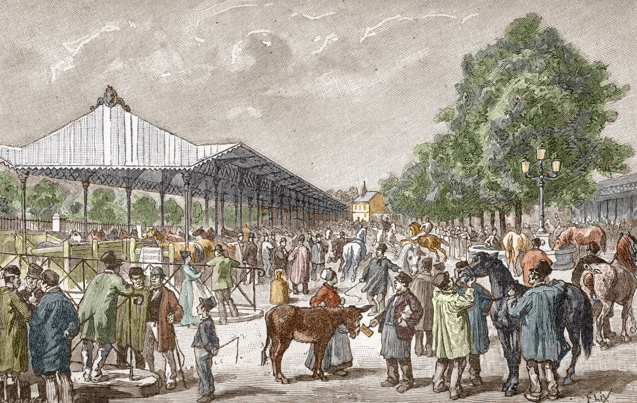 Ansicht des Pferdemarktes im 5. Bezirk von Paris. Gravur aus Les stages d