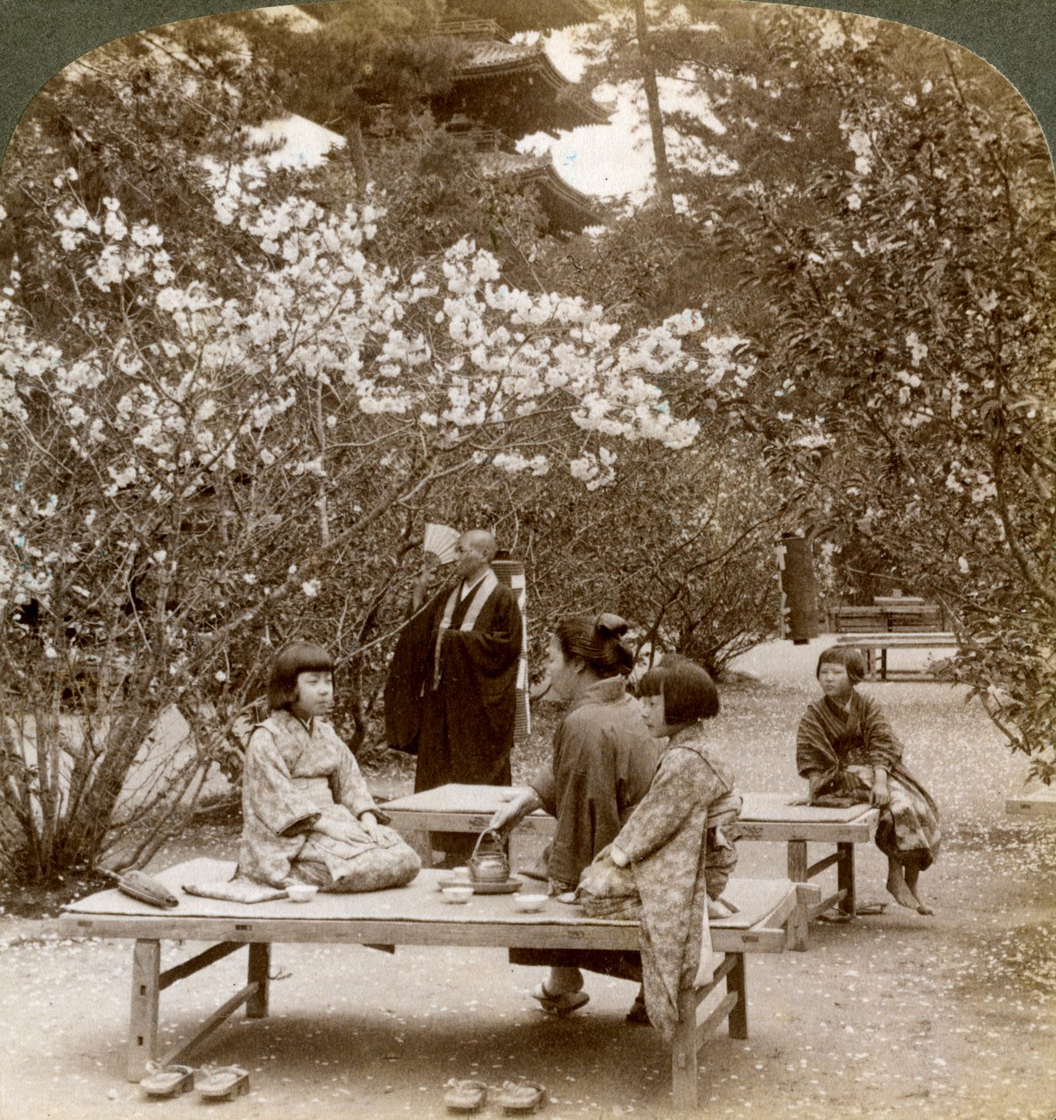 Eine Familie genießt ein Picknick unter den Kirschblüten, Omuro Gosho, Kyoto, Japan, 1904 von Underwood and Underwood