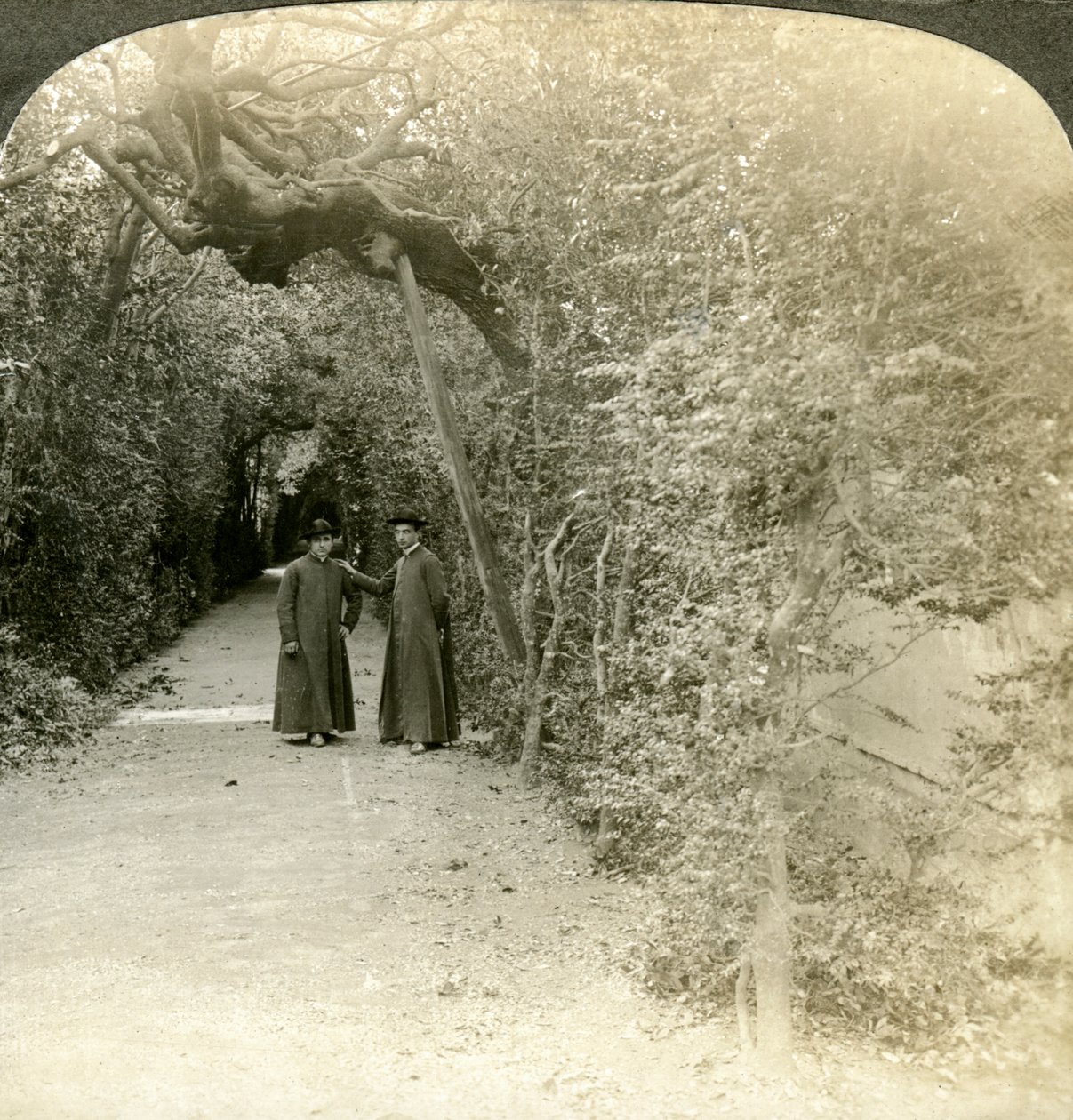 Laube des Heiligen Antonius, Vatikanische Gärten, Rom, Italien von Underwood and Underwood