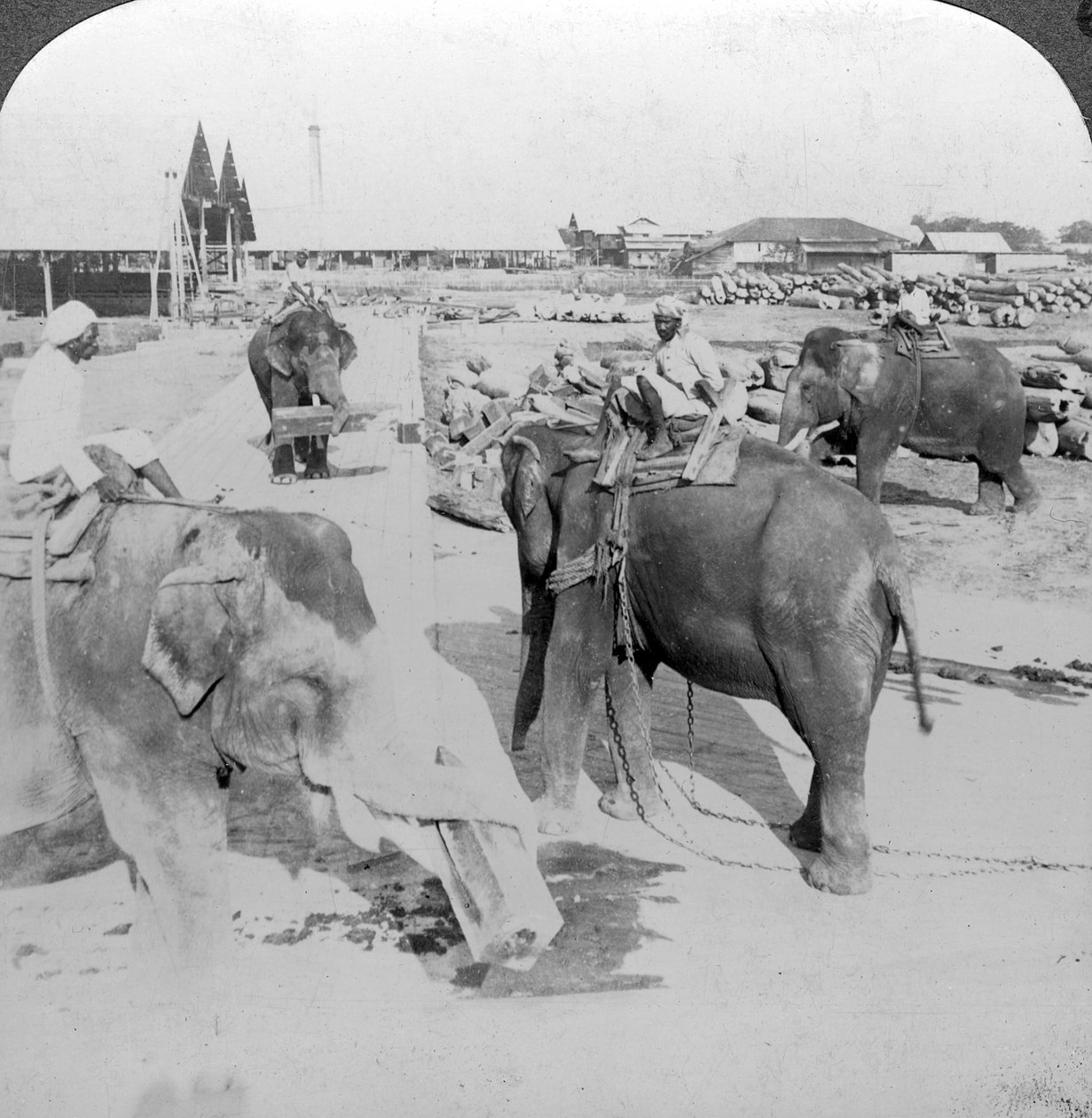 Elefanten arbeiten in einem Holzlager, Indien von Underwood and Underwood