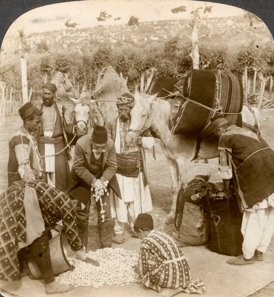 Experten kaufen Seidenkokons für den Export nach Frankreich, Antiochia, Syrien, 1900er Jahre von Underwood and Underwood