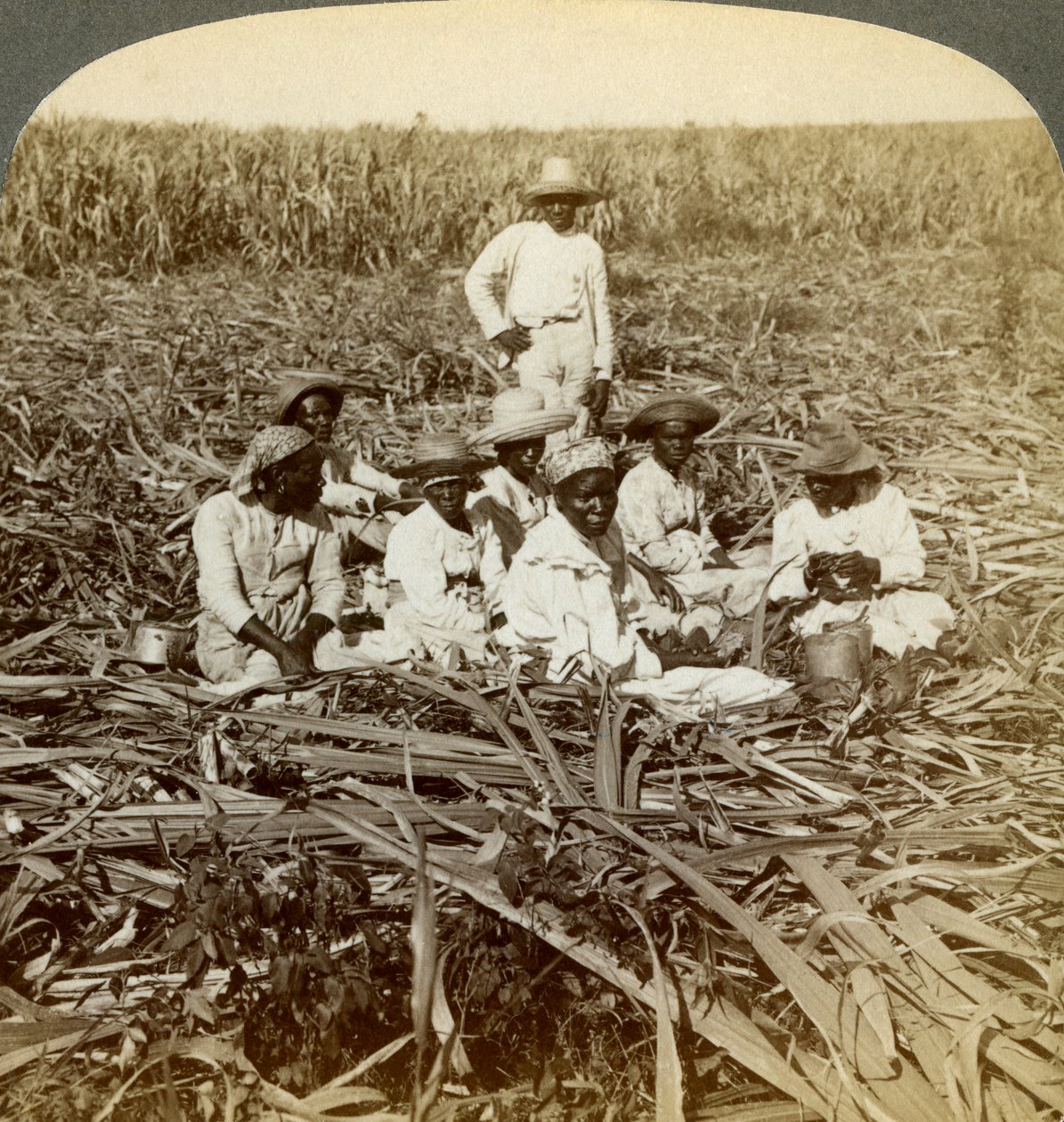 Auf der Zuckerplantage La Union, San Luis, Provinz Santiago, Kuba, 1899 von Underwood and Underwood