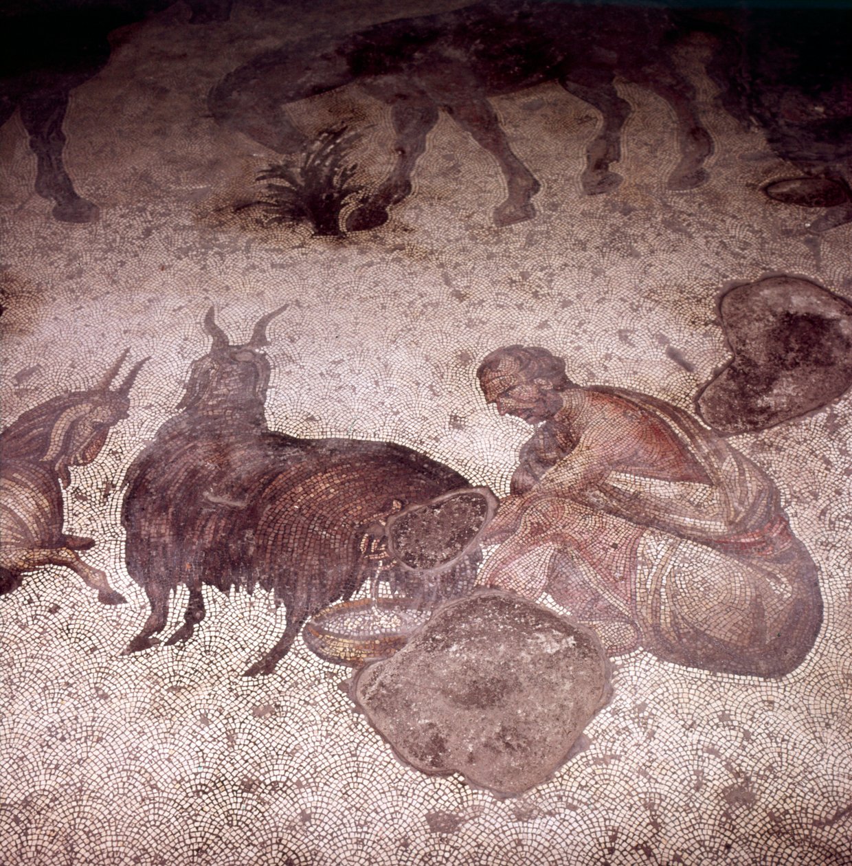 Detail des Bodenmosaiks im Großen Palast, Istanbul, Regierungszeit von Justin, 565-575 von Unknown