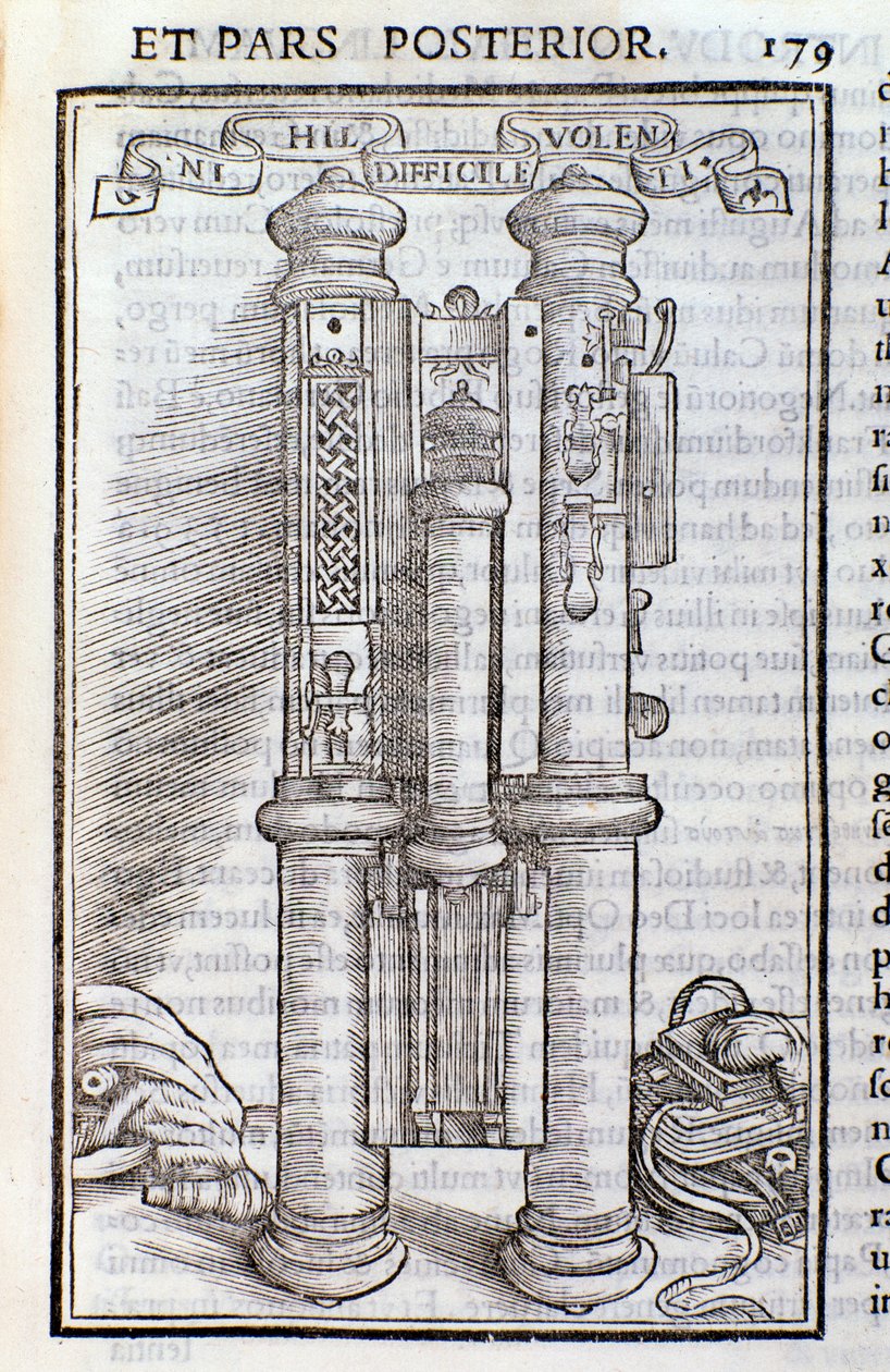 Ein Phagotus (Phagotum). Seite aus Introductio von Theseus Ambrosius Albonesius von Unknown artist