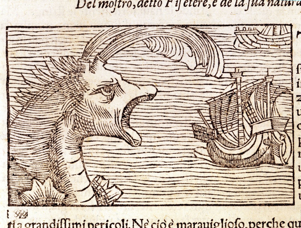 Ein Pottwal (?) (Physeter) greift ein Schiff an. Gravur von Olaus Magnus (1490 - 1557), schwedischer Geistlicher und Geograph, „Historia de Gentis Septentrionalibus“, Venedig von Unknown artist