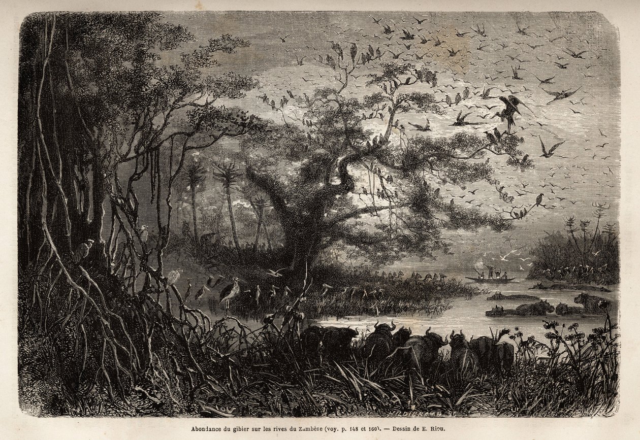 Überfluss an Wild am Ufer des Sambesi von Unknown artist
