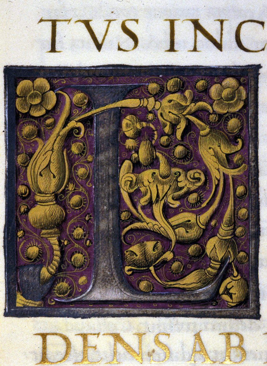 Alphabet: miniaturisierter Buchstabe L von Unknown artist
