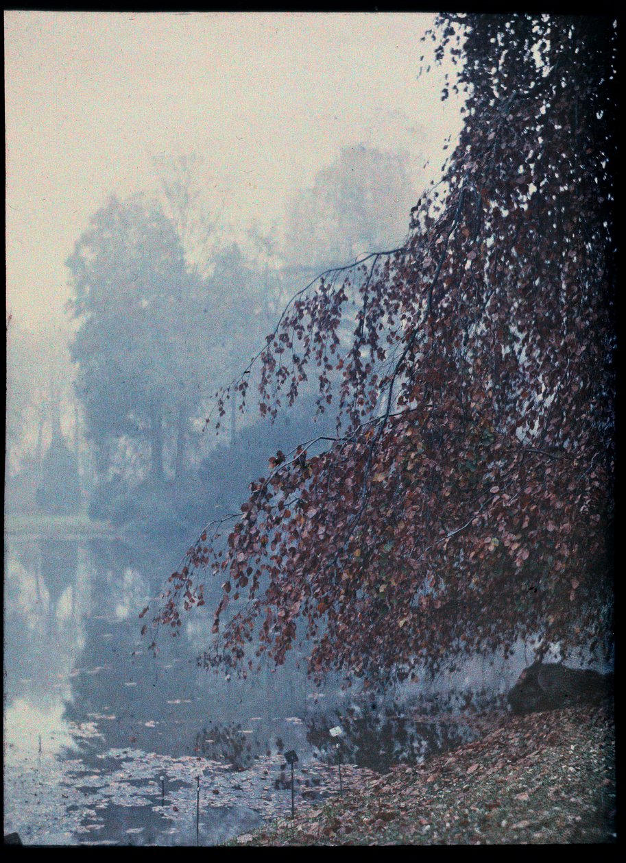 Herbstlandschaft, See und roter Baum im Nebel - ca. 1920 (Herbstlandschaft, See und roter Baum im Nebel) Autochrome anonyme Privatsammlung von Unknown Artist