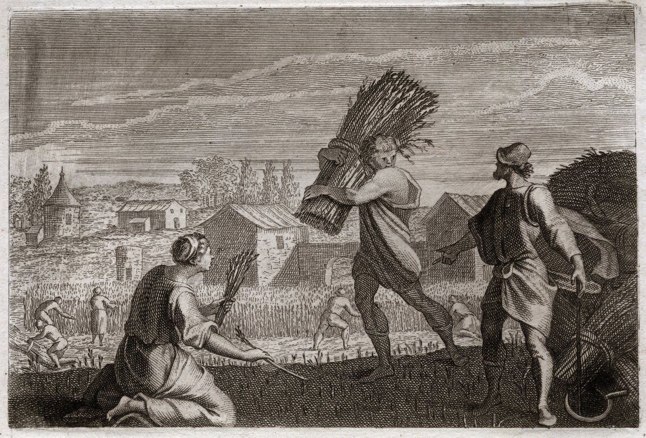 Royaumont-Bibel, Altes Testament: Ruth folgt ihrer Schwiegermutter Noemi ins Land Juda und erntet die Weizenfelder von Boas. Illustration von 1811 von Unknown artist