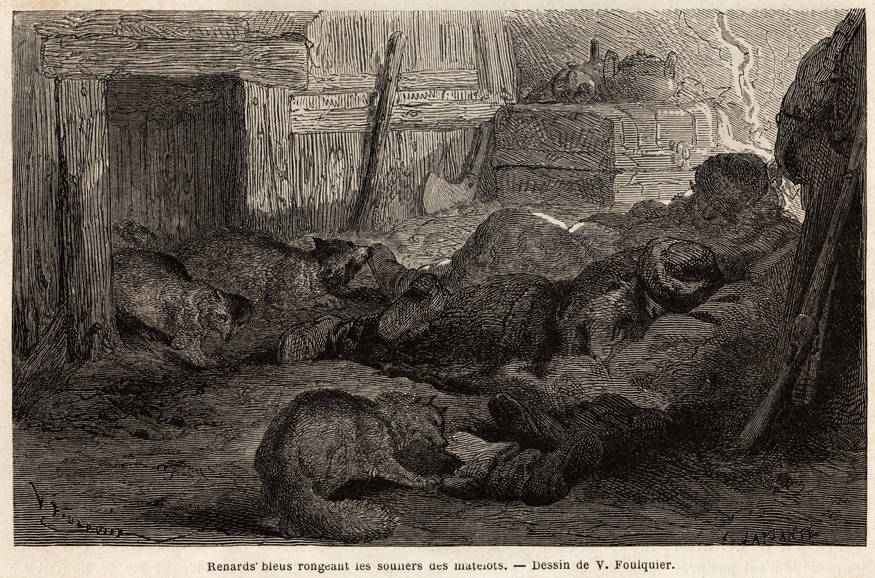 Blaue Füchse nagen an den Schuhen von schlafenden Seeleuten im Zufluchtsort der Beobachtungsstation, Zeichnung von V. Foulquier, zur Illustration von Spitzbergen von Unknown artist