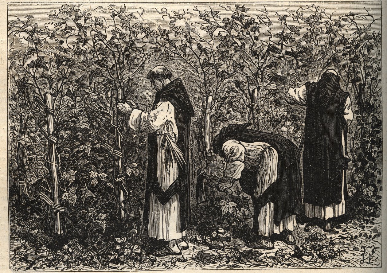 Burgundermönche beim Weinanbau - von Louis Figuier - Ende des 19. Jahrhunderts von Unknown artist