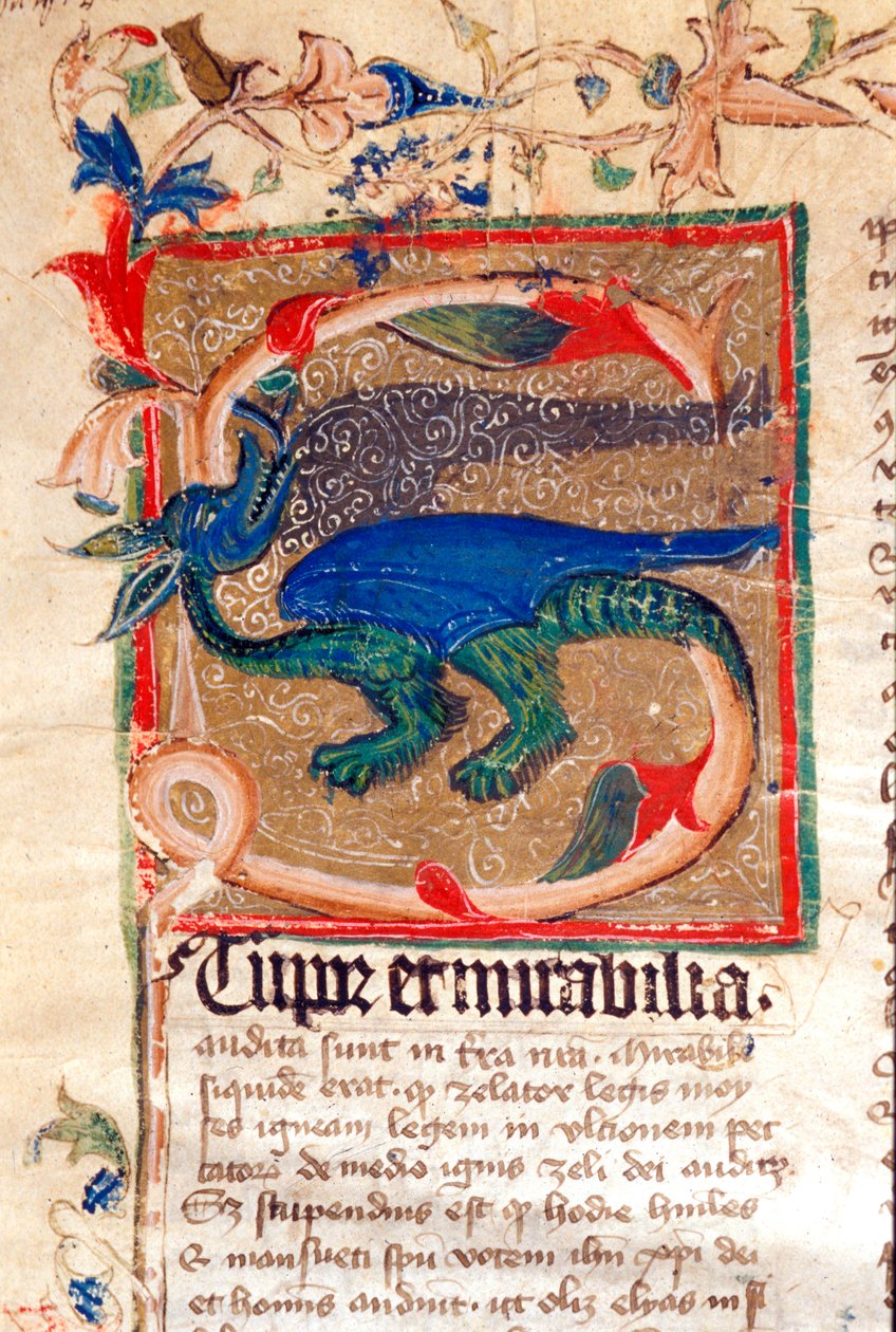 Drachenverzierte Initiale (Detail) von Unknown artist