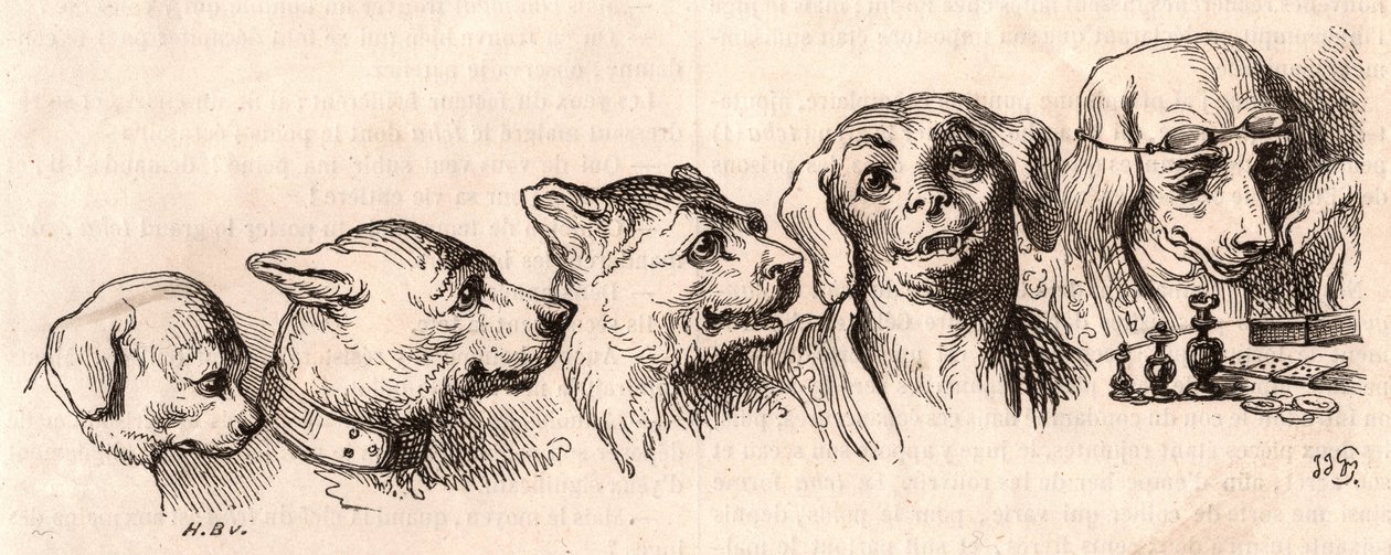 Entwicklung eines Hundes zu einer menschlichen Form von Unknown