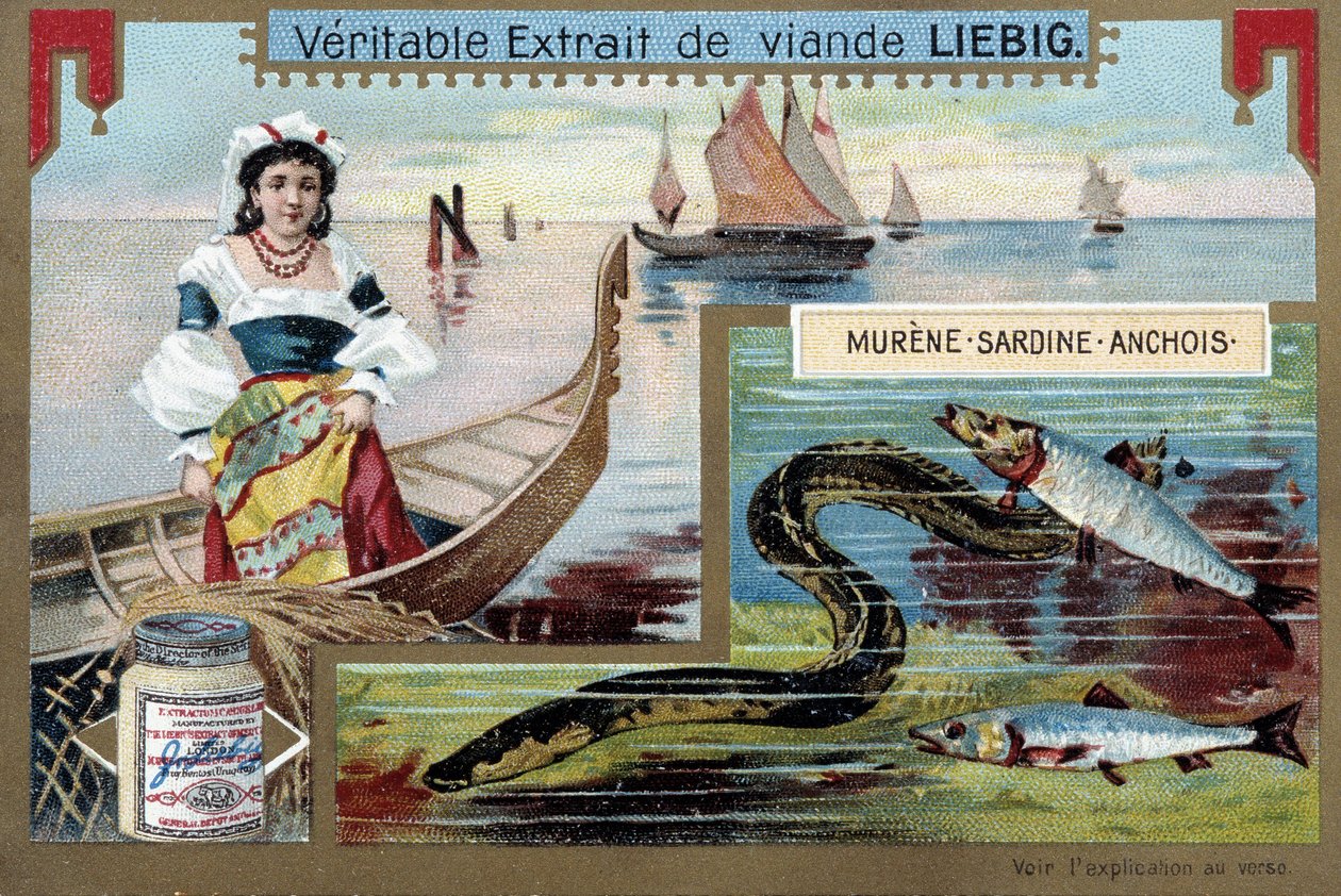Fischerboote und Fische (Muräne, Sardine, Sardelle) - Chromo. Liebig, um 1900 von Unknown artist