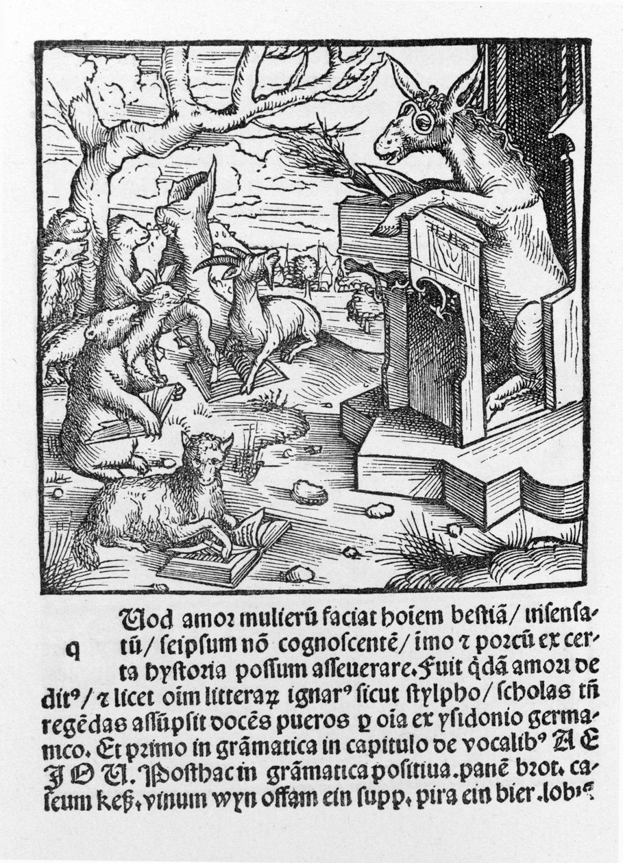 Deutscher Inkunabel, der einen Esel zeigt, der einer Klasse von Waldtieren Unterricht gibt. 1490. von Unknown artist