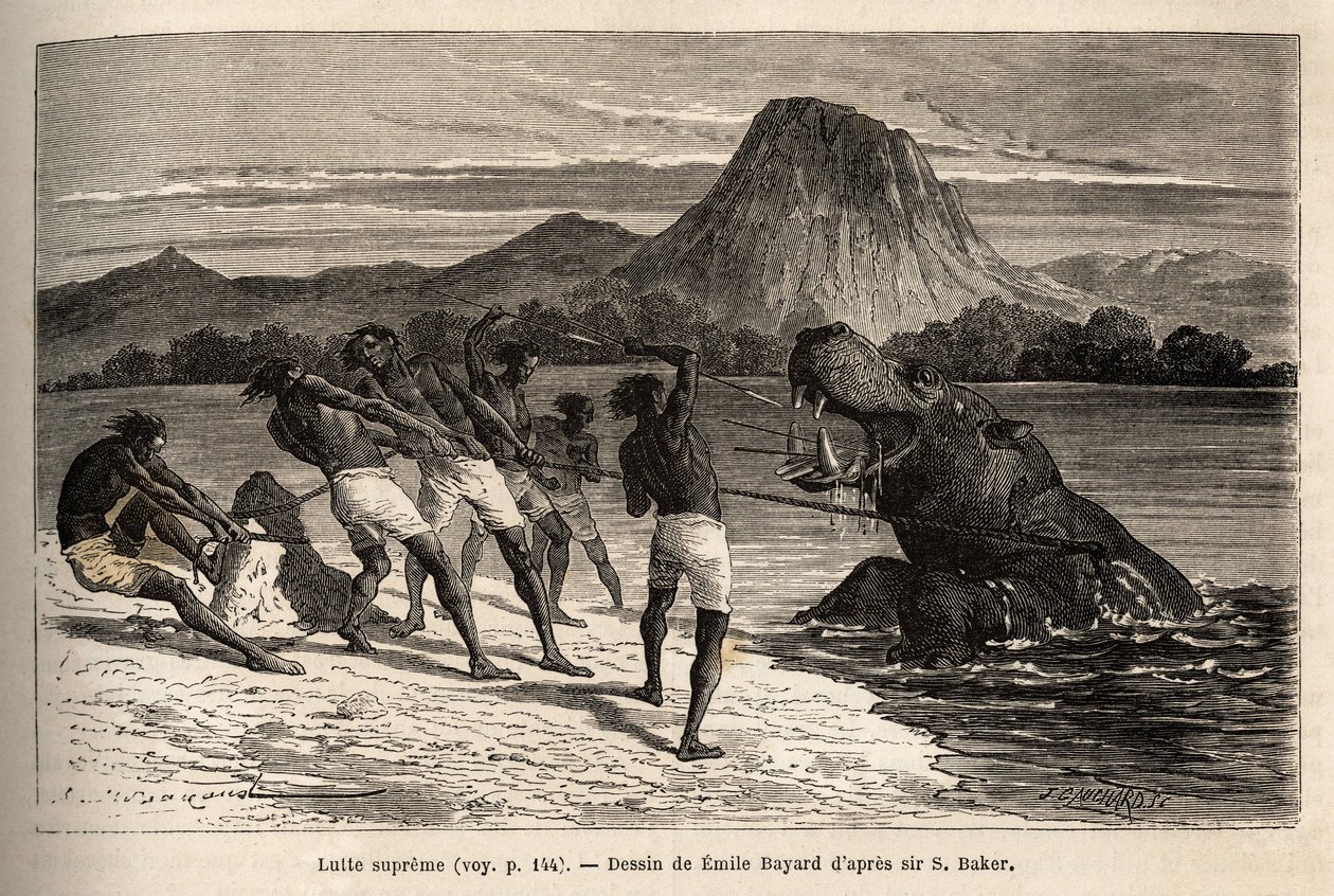 Nilpferdjagd mit dem Houarti-Stamm, mit Harpunen und Speeren, das wütende Tier lädt und widersteht. Gravur zur Illustration der Erforschung der abessinischen Nebenflüsse des Nils, von Sir Samuel W. Baker, 1861-62, veröffentlicht in „Le tour du monde“ von Unknown artist