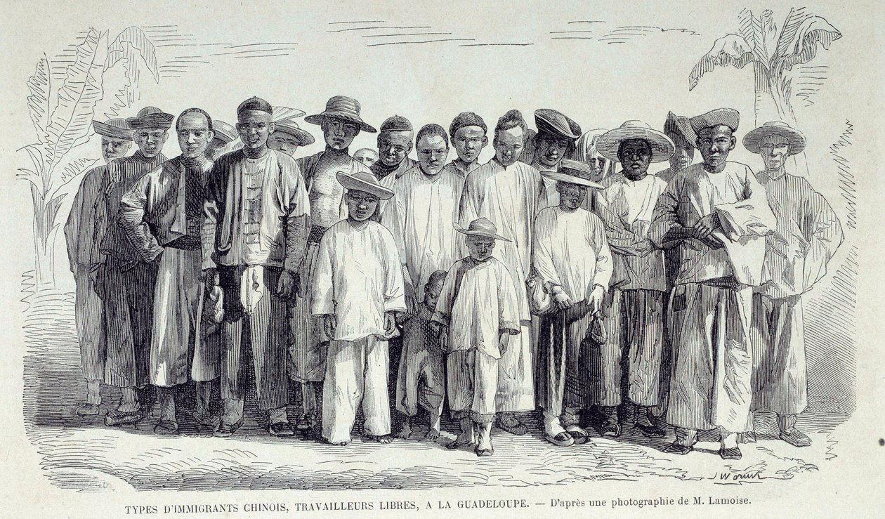 Geschichte der französischen Kolonien: Chinesische Einwanderer arbeiten in Guadeloupe. Zeichnung nach Fotografie des späten 19. Jahrhunderts von Unknown artist