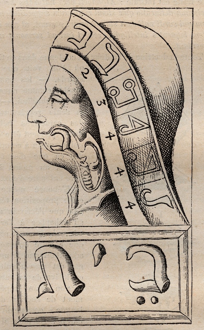 Illustration aus: Alphabeti vere naturalis Hebraici brevissima delineatio (Das Alphabet der Natur) von Franciscus Mercurius van Helmont (1618-1699) - van Helmont behauptete, dass jeder Buchstabe des hebräischen Alphabets von Unknown artist