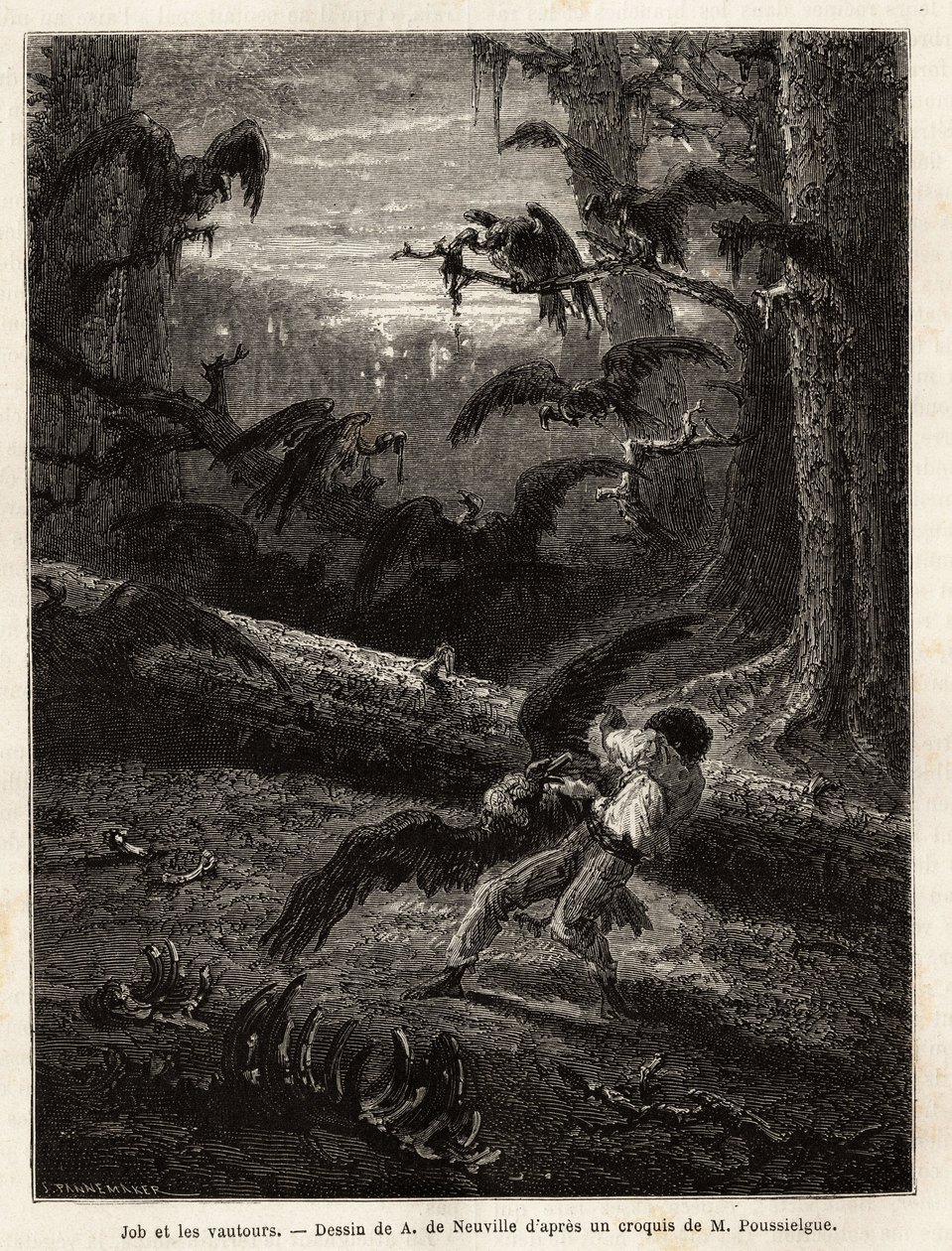 Job (Reisebegleiter des Redakteurs), von Geiern angegriffen. Gravur zur Illustration der Geschichte „Quatre mois en Florida“, von M. Pousselgue, 1851-1852, veröffentlicht in „Le tour du monde“, unter der Leitung von Edouard Charton, Hachette, Paris 1869 von Unknown artist