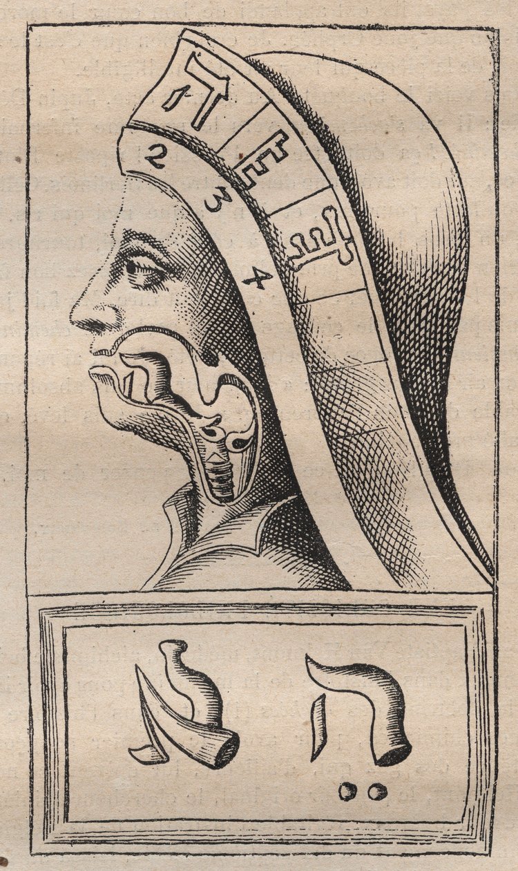 Kabbala - Illustration aus: Alphabeti vere naturalis Hebraici brevissima delineatio (Das Alphabet der Natur) von Franciscus Mercurius van Helmont (1618-1699) - In diesem Werk behauptete van Helmont, dass jeder Buchstabe von Unknown artist