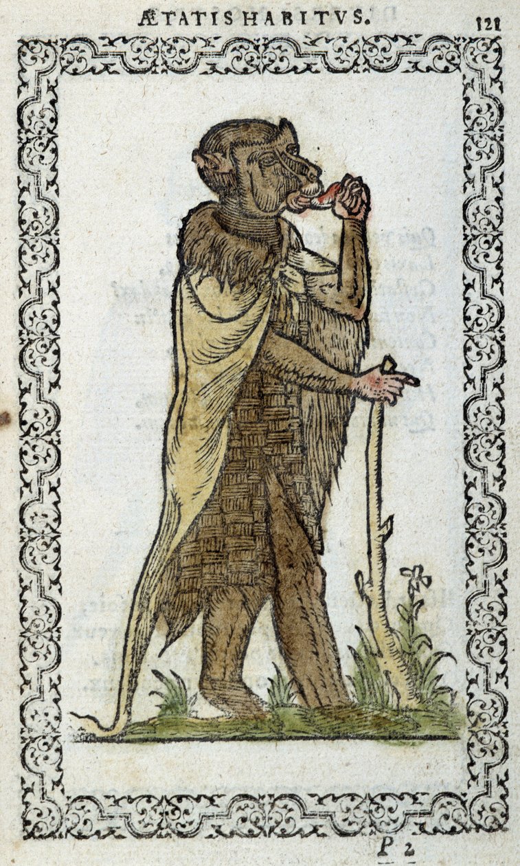 Der stehende Mönch - in „Habits et effigies“ von Jean Sulperius von Unknown artist