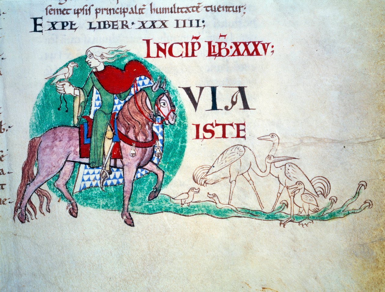 Herr bei der Falkenjagd. Miniatur des Mittelalters. Manuskript „Moralia in Job“ aus der Abtei Citeaux für Papst Gregor I von Unknown artist