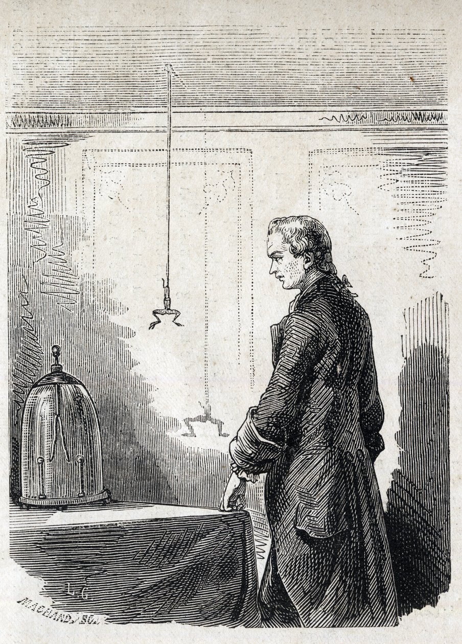 Luigi Galvani verursacht Froschkontraktionen durch Blitzableiter-Elektrizität - LUIGI GALVANI (1737-1798) italienischer Arzt und Physiker. Verursacht Kontraktionen in einem Frosch mit Elektrizität aus einer Gewitterwolke von Unknown artist