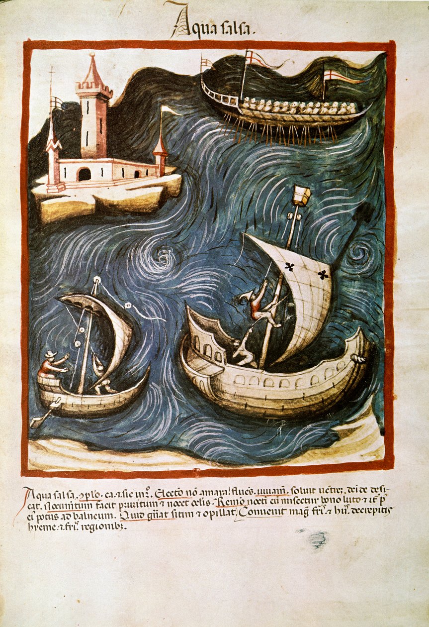 Medizinischer Handel: „Salzwasser“. Seite aus „Tacuinum sanitatis“ (Cod. ser. nov. 2644) um 1400. Wien, Österreichische Nationalbibliothek von Unknown artist