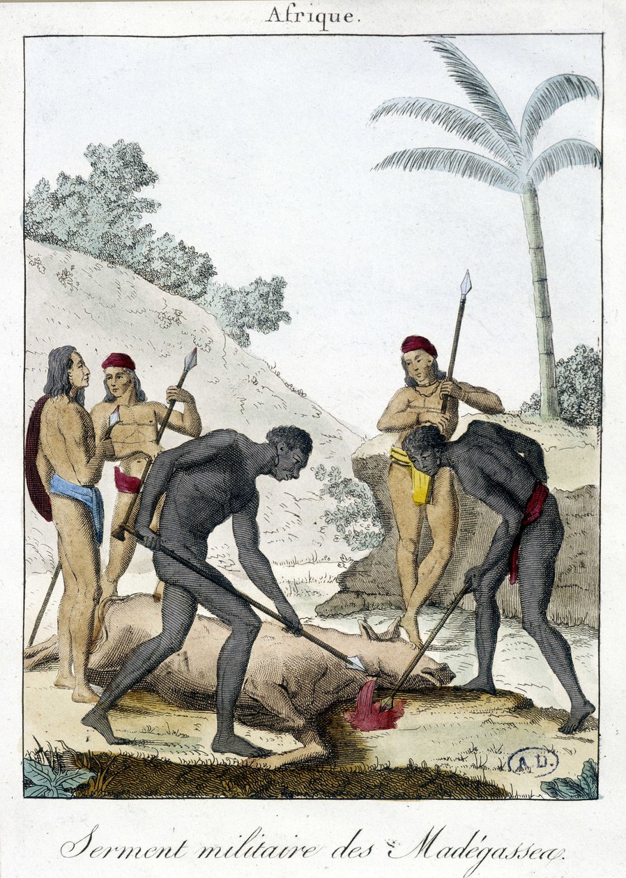 Militärischer Eid der Einwohner von Madagaskar (schlachteten einen Ochsen), Gravur 1811 von Unknown artist