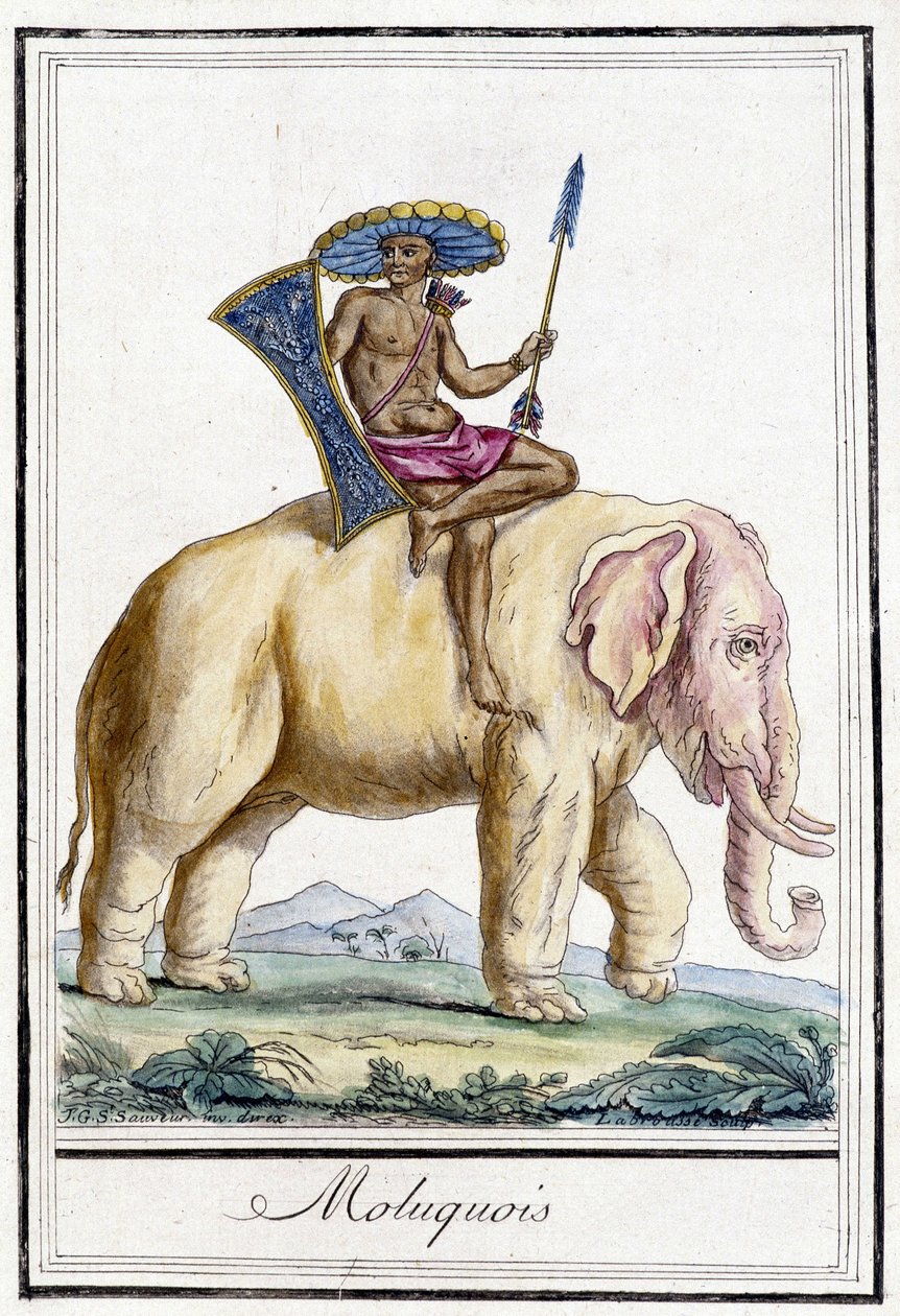 Molukken-Mann auf einem Elefanten (Molukkeninseln, Indonesien) von Unknown artist