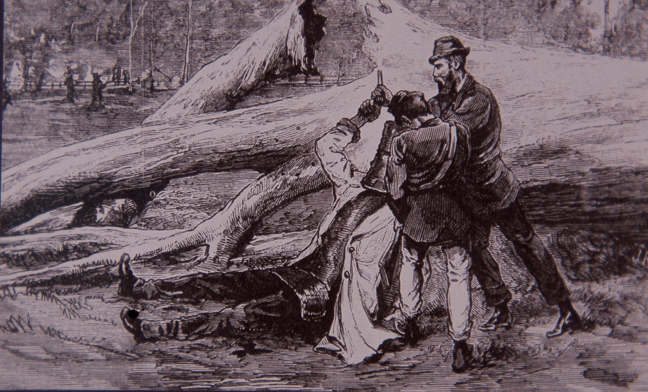 Ned Kelly von Polizeikonstabler Kelly und Eisenbahner Jesse Dowsett gefangen genommen, 28. Juni 1880 von Unknown artist