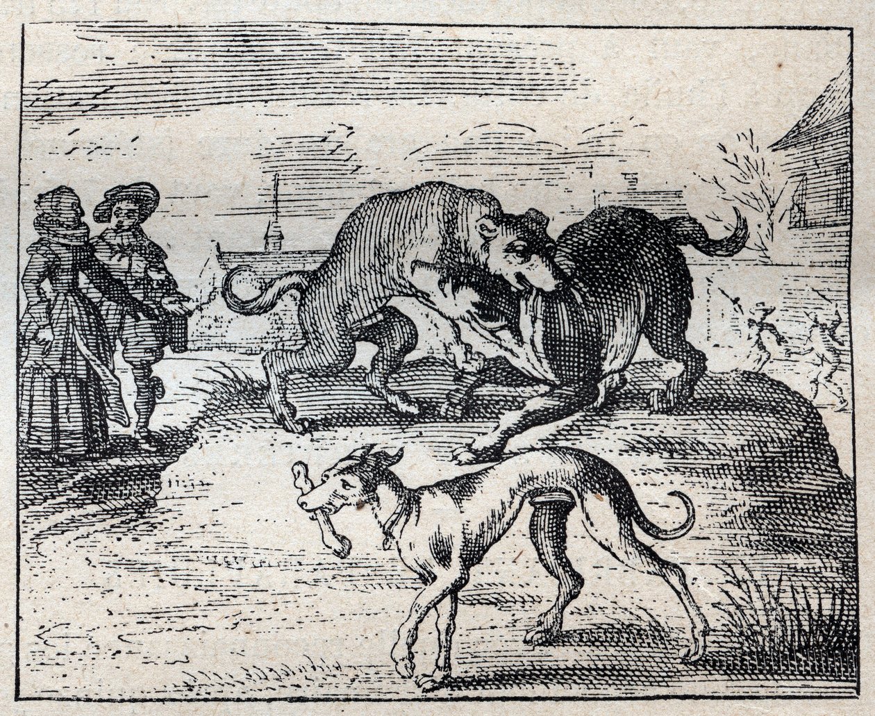 Altes englisches Sprichwort: Zwei Hunde streiten um einen Knochen und der dritte nimmt ihn weg von Unknown artist