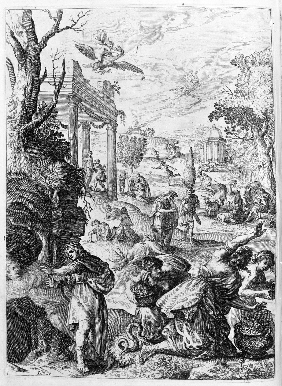 Ovid (Ovidius) - Illustration für Buch 15 - (P. Ovidii Nasonis Metamorphose libri XV mit Anmerkungen von TH. Farnabii.) Anmerkung von Thomas Farnaby (Farnabia) (1575-1647) von Unknown artist