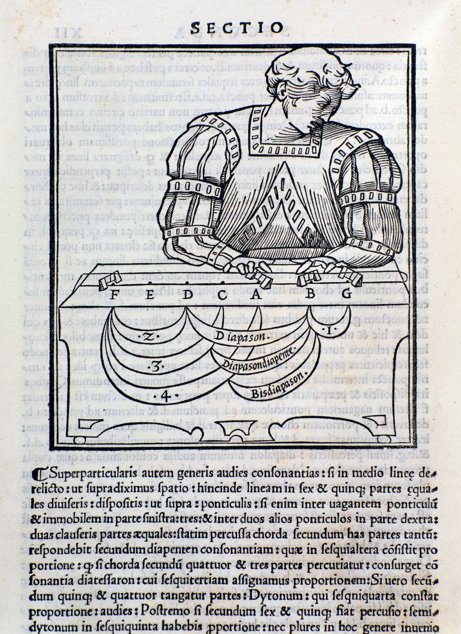Seite aus Musica Theorica von Ludovico Foliani (Gravur) von Unknown artist