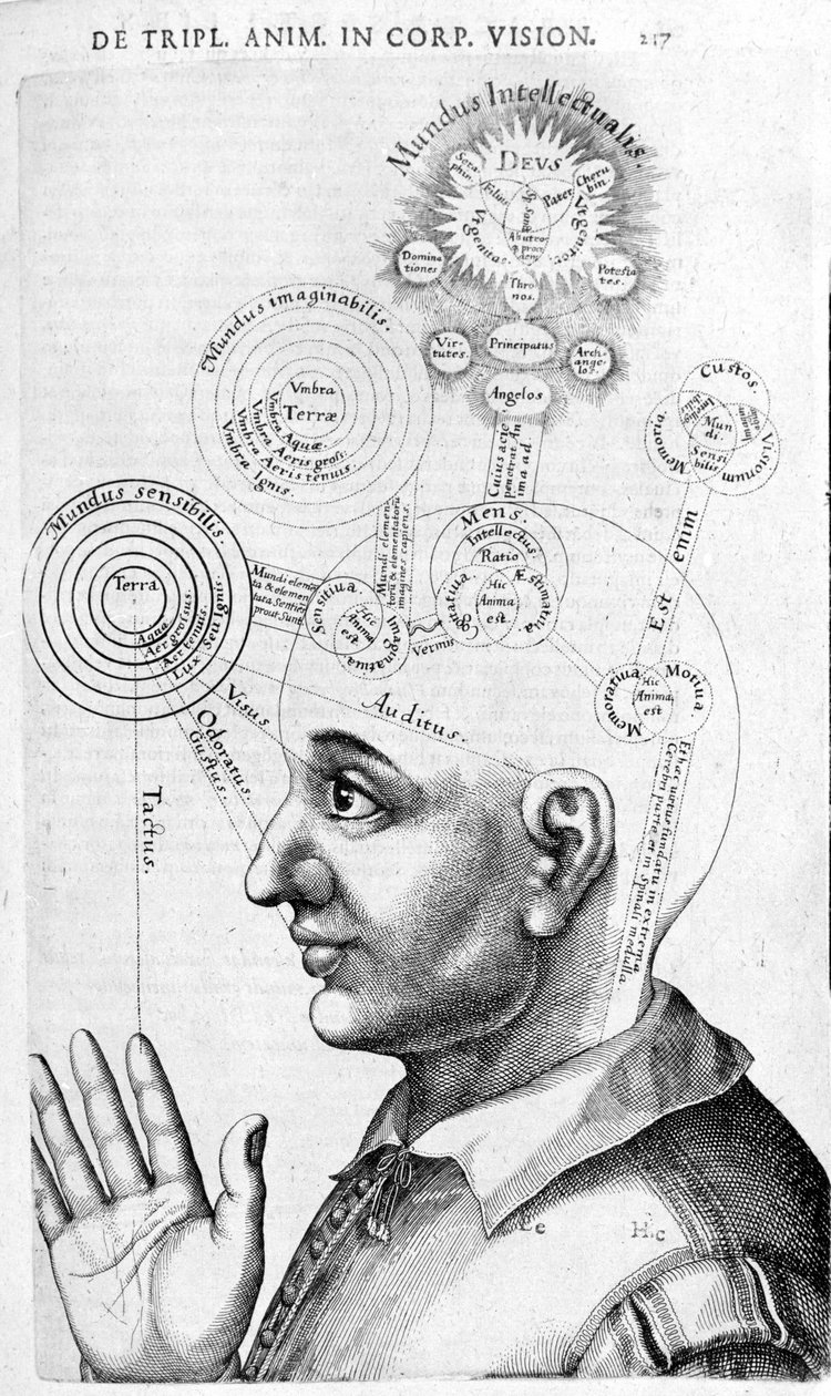 Physiognomie-Bild (Phrenologie) aus Collectio Operum von Robert Fludd (Robertus de Fluctibus). London 1617 von Unknown artist