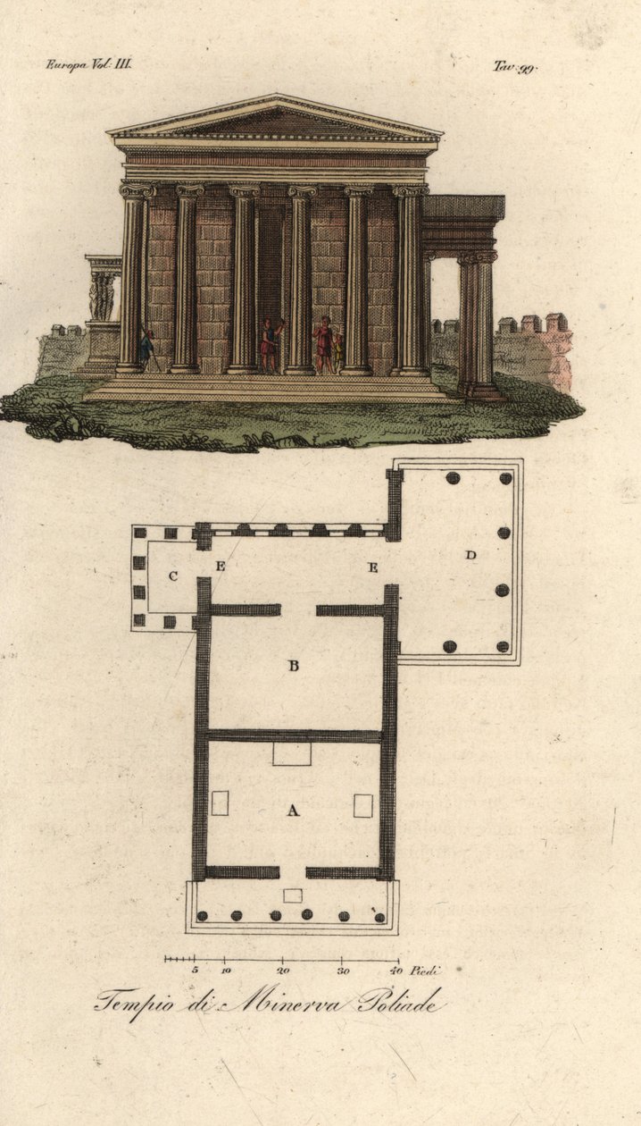 Plan und Aufriss des Erechtheion oder Erechtheum A, Tempel des Neptun B, Tempel der Minerva Polias mit Karyatidenvorhalle C, und Tempel des Pandrosus oder Pandrosion D von Unknown artist