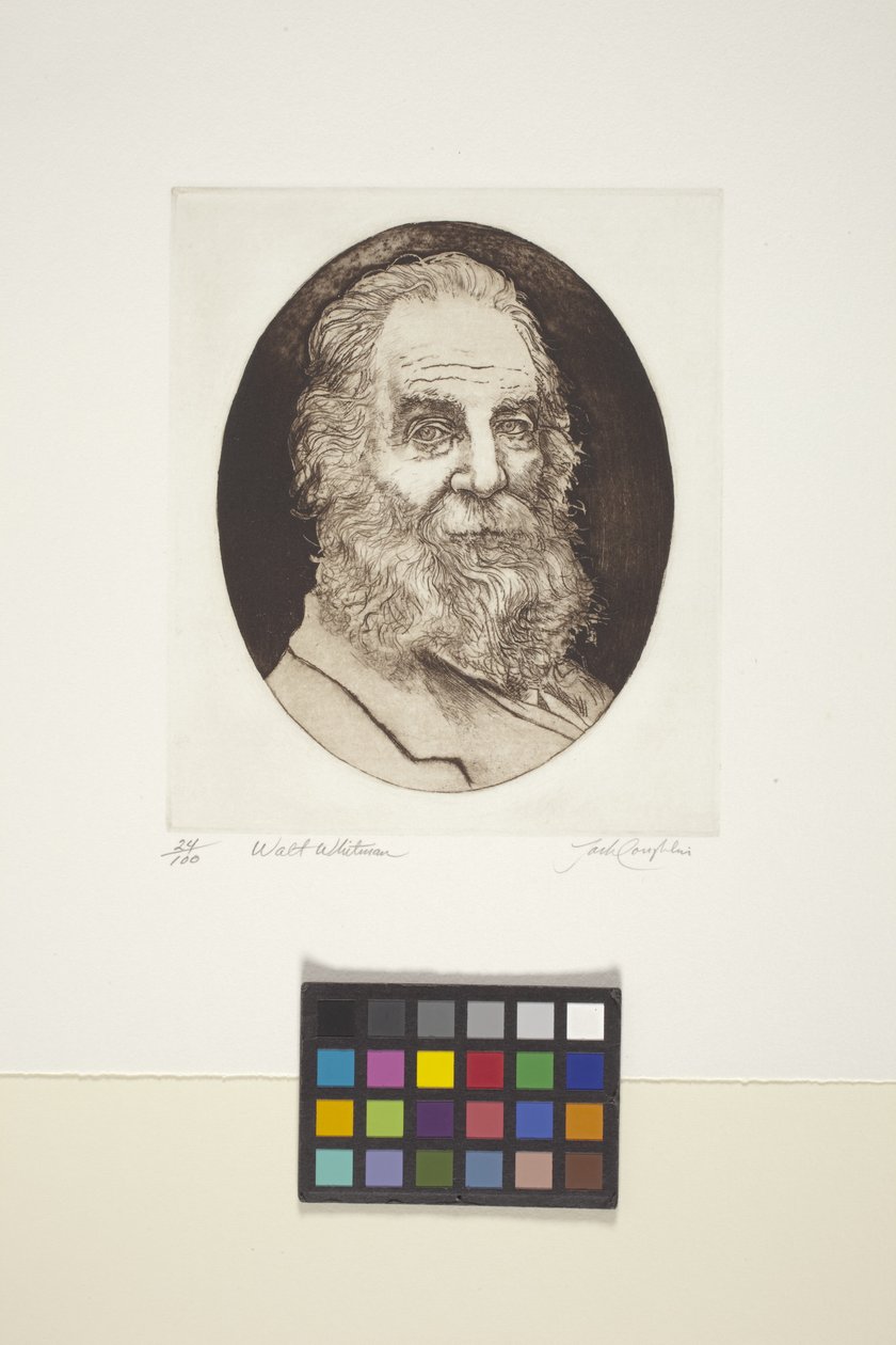 Porträt von Walt Whitman von Unknown artist