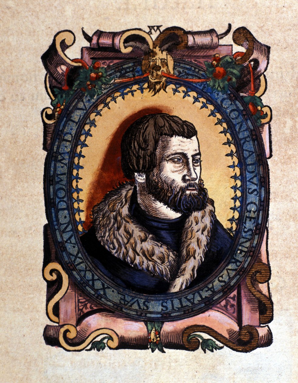 Porträt von Conrad Gesner (1516 - 1565) Zürcher Arzt nach der Historia Animalium von Conrad Gesner, Tiguri 1560. Biblioteca nazionale Braidense. Mailand von Unknown artist